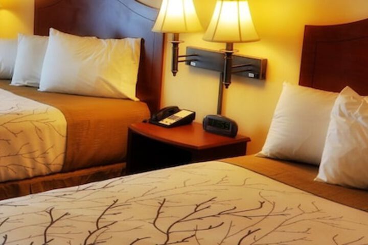 Room 15 of 52