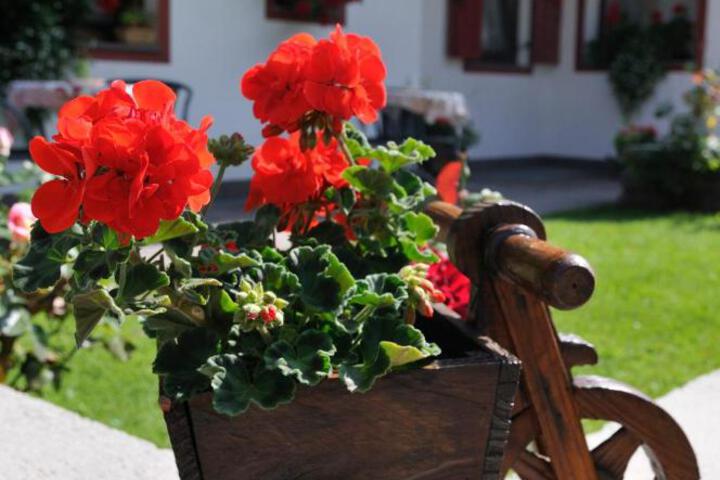 General 6 of 88