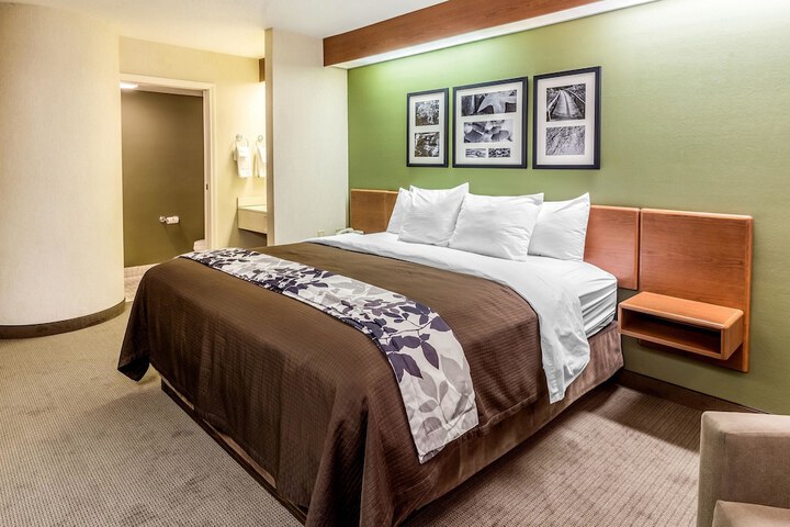 1 King Bed (13 of 15)