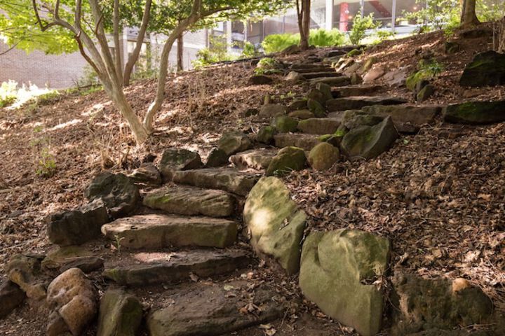 Property Grounds 21 of 35