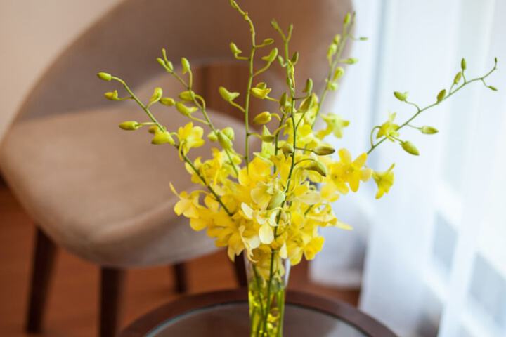 Room amenity