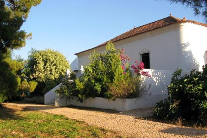 Quinta Teresinha