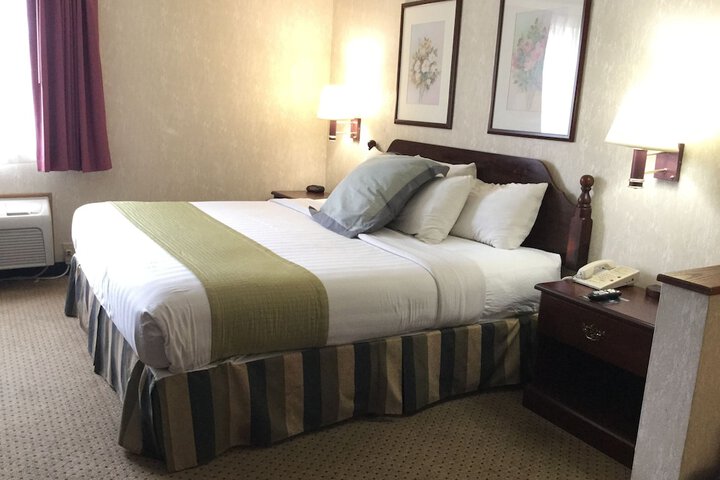 Deluxe Suite King Bed (4 of 9)