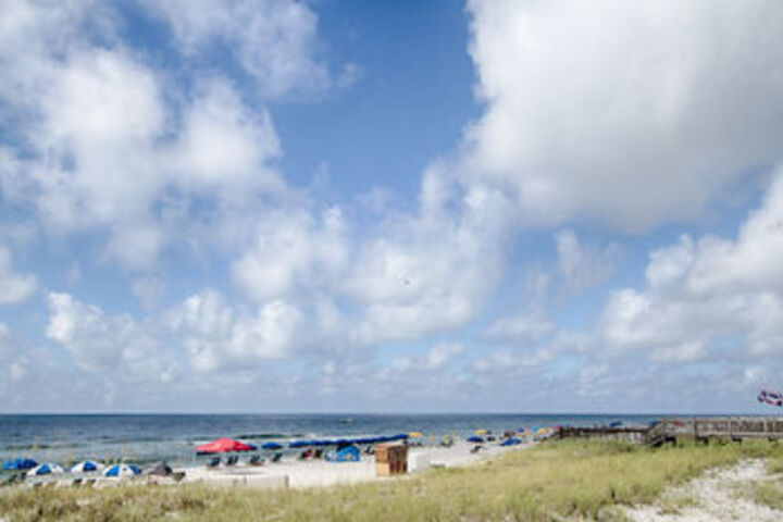 Beach 12 of 46