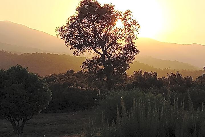 General 12 of 43