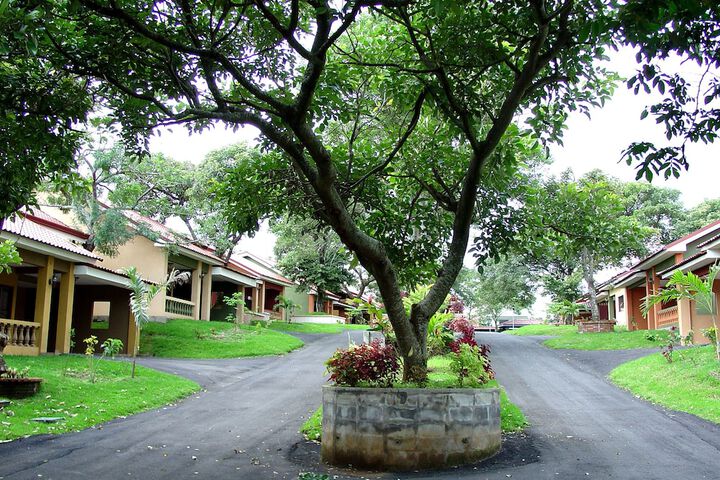 Property Grounds 27 of 38