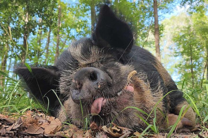 Hotel Exterior 20 of 26