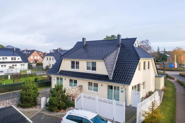 Seestern a26415