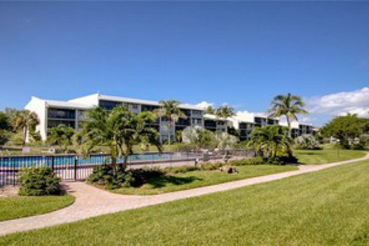 Loggerhead 133