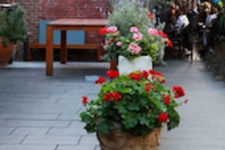 Terrace/Patio 25 of 27