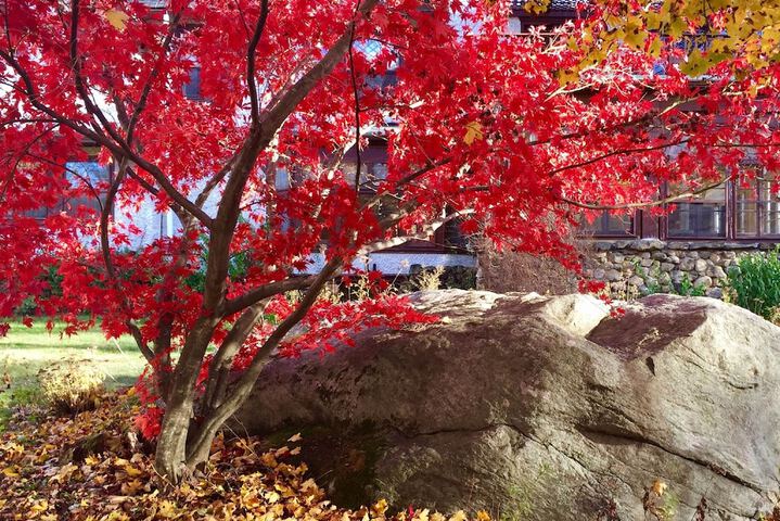 Property Grounds 67 of 97