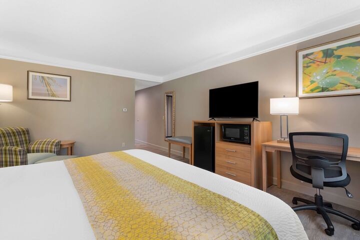 1 King Bed Business Plus Room, Microwave, Refrigerator Full Breakfast (9 of 36)