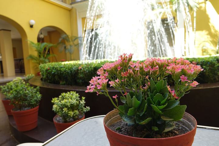 Terrace/Patio 15 of 27