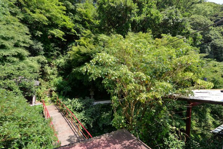 View from room