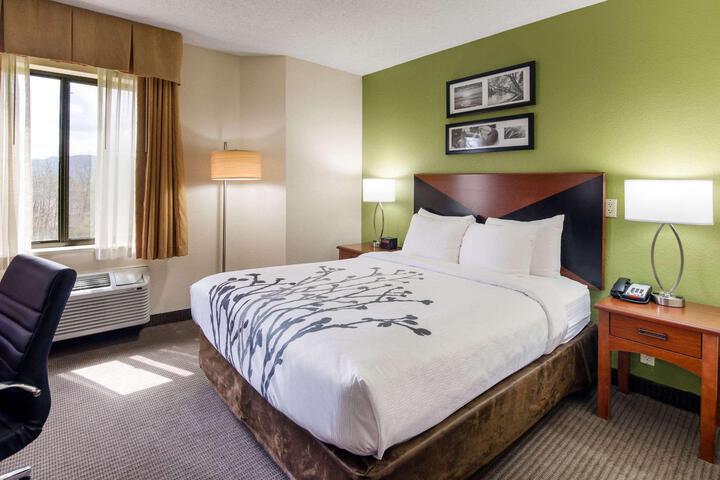 Standard Queen Bed Accessible (2 of 5)