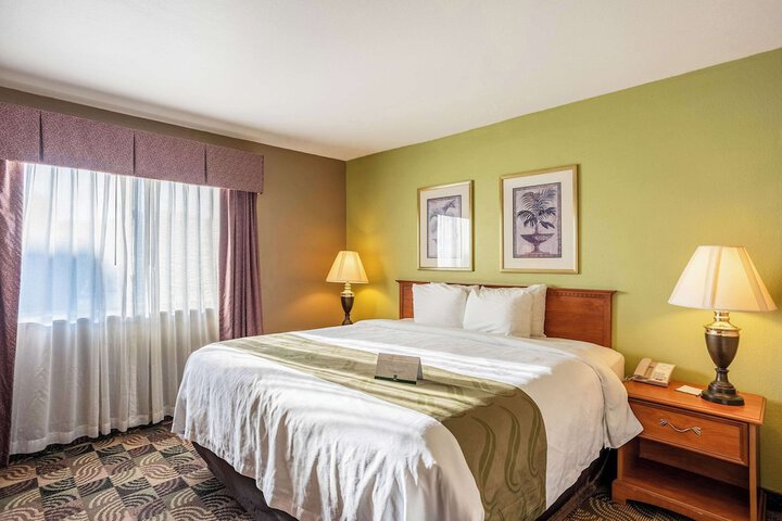 1 King Bed (11 of 20)