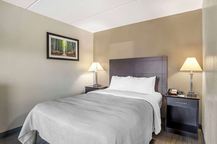 1 King Bed (5 of 11)