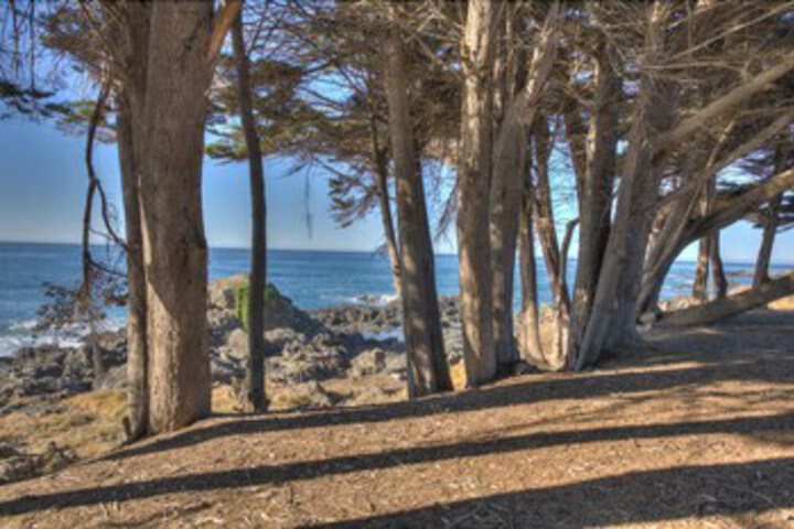 Beach 5 of 39
