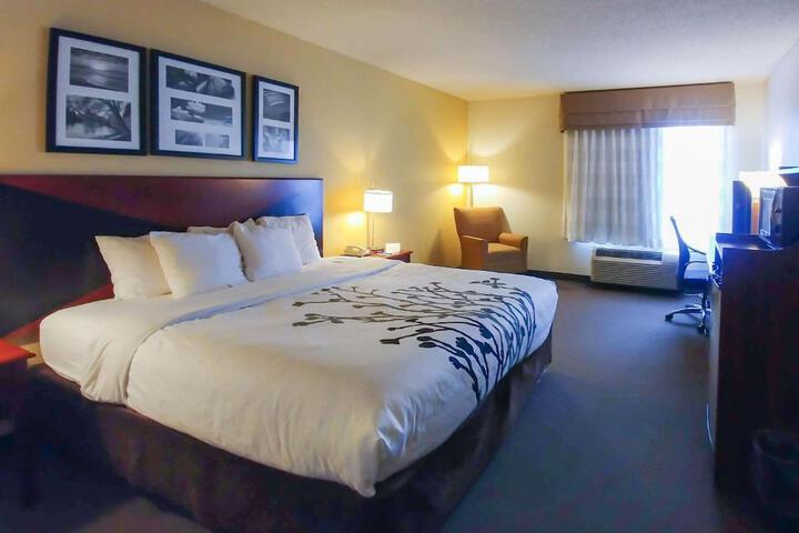 1 King Bed (17 of 26)