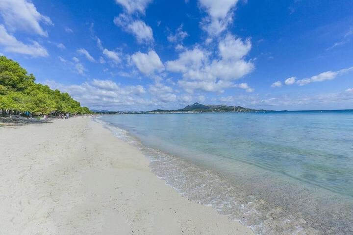 General 7 of 11