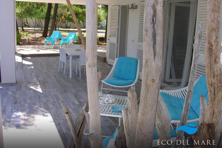 General 22 of 55