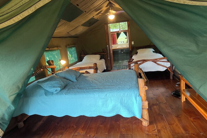 Room 4 of 19