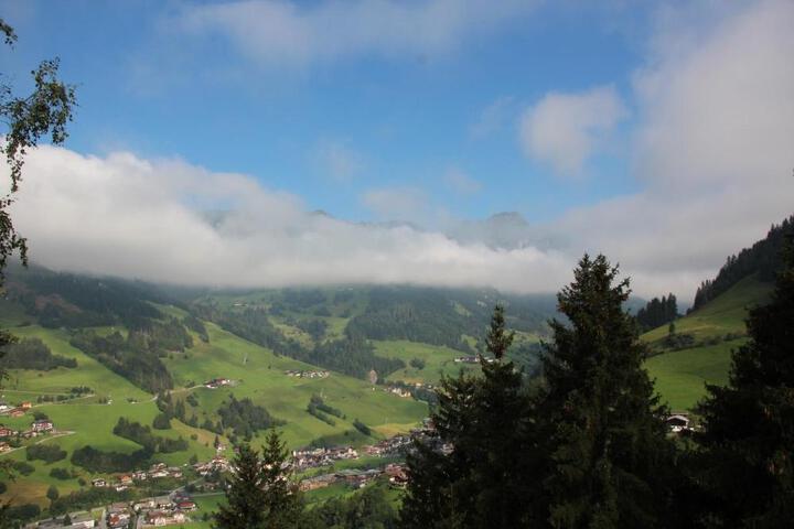 General 23 of 41