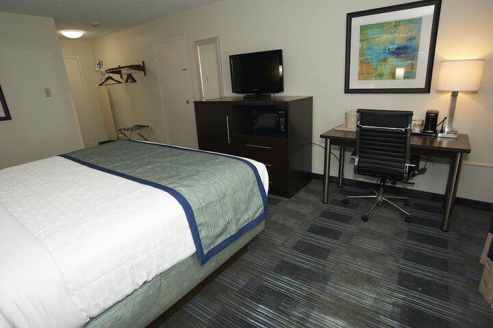 1 King Bed (8 of 9)