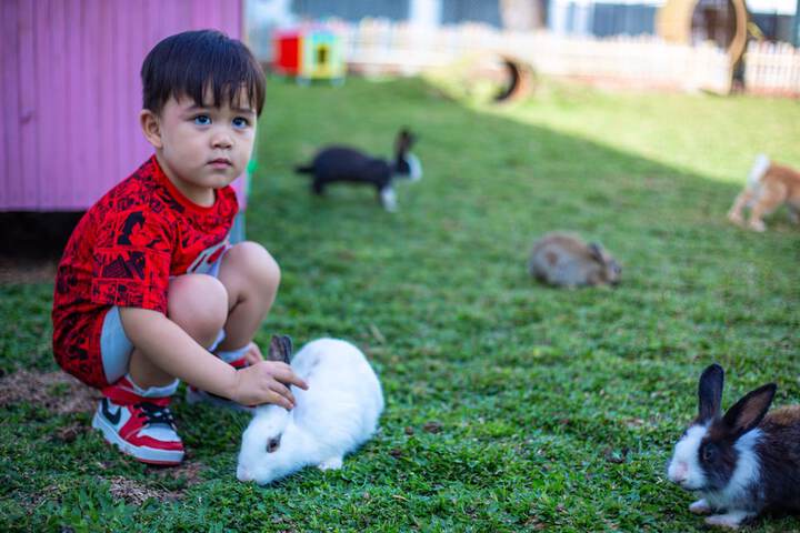 Childrens Activities 64 of 100