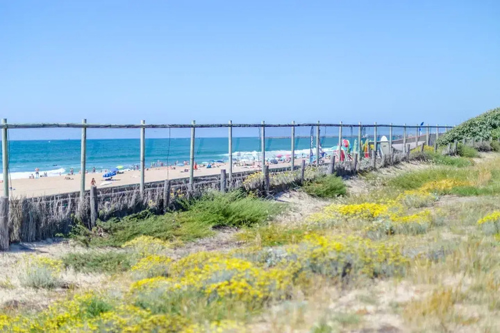 Beach 8 of 12