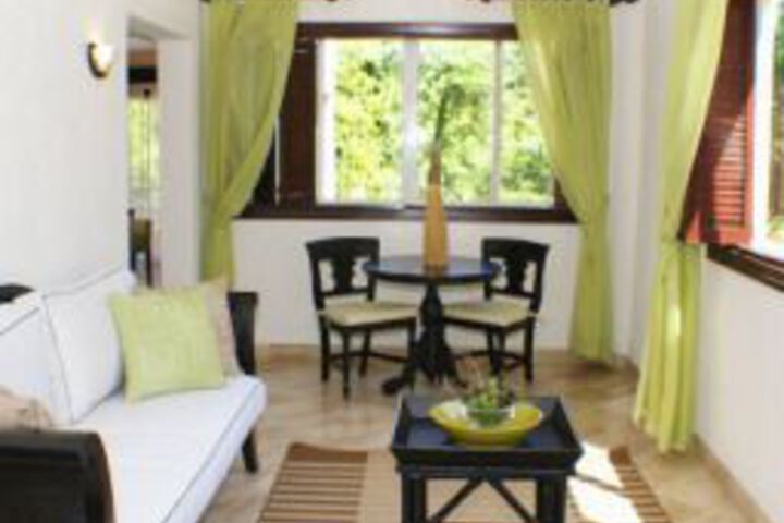 The Puntacana Hotel