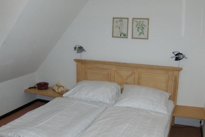 Room 4 of 44