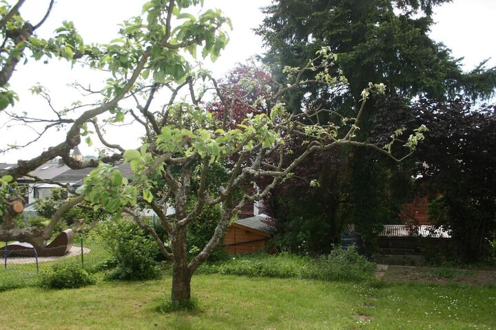 Property Grounds 20 of 20