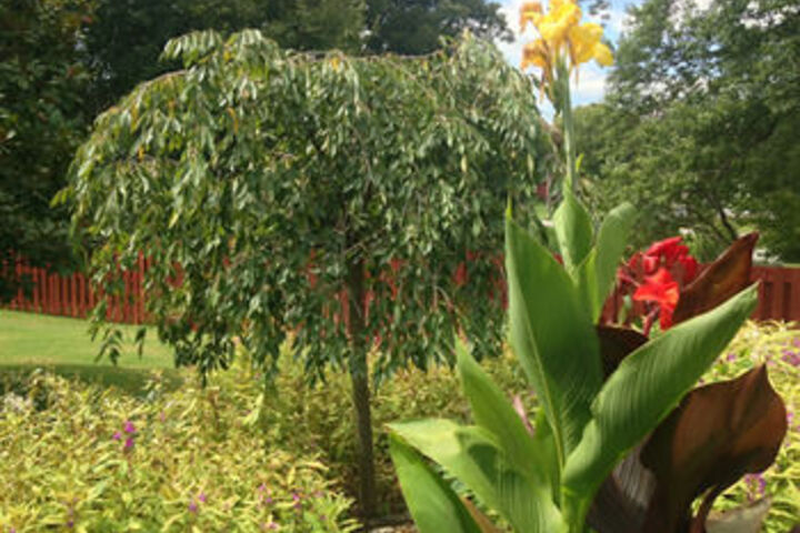 Hotel Exterior 9 of 49