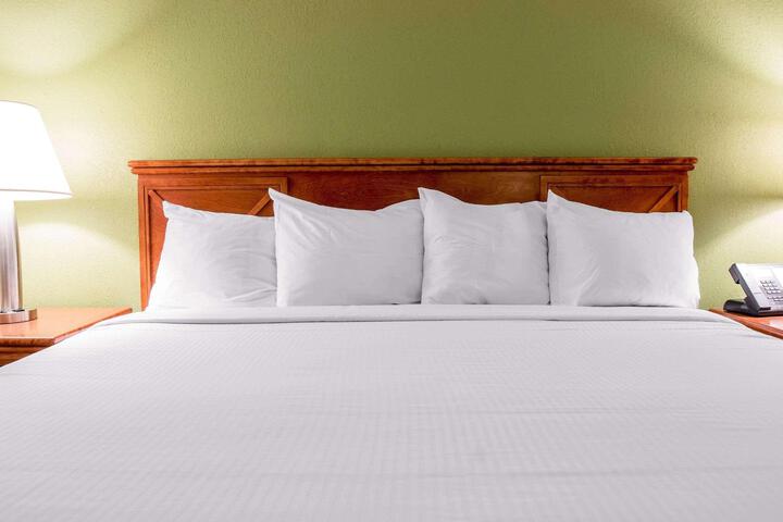 1 King Bed (13 of 19)