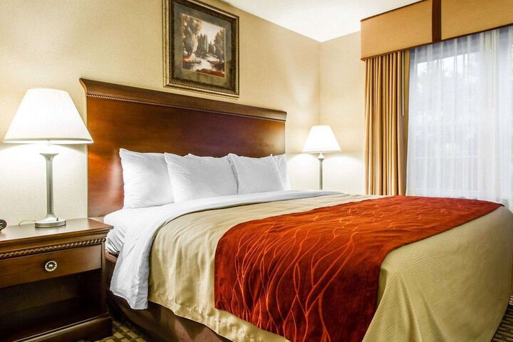 1 King Bed (11 of 14)