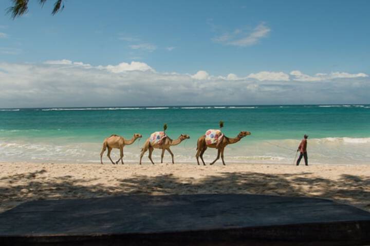 Beach 36 of 43