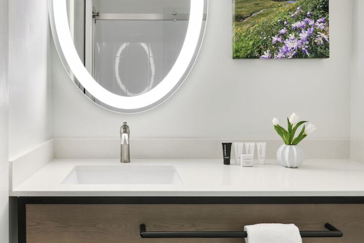 Bathroom Interior Photo