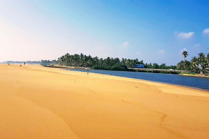 Beach 50 of 66