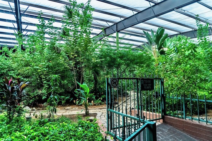 Garden view