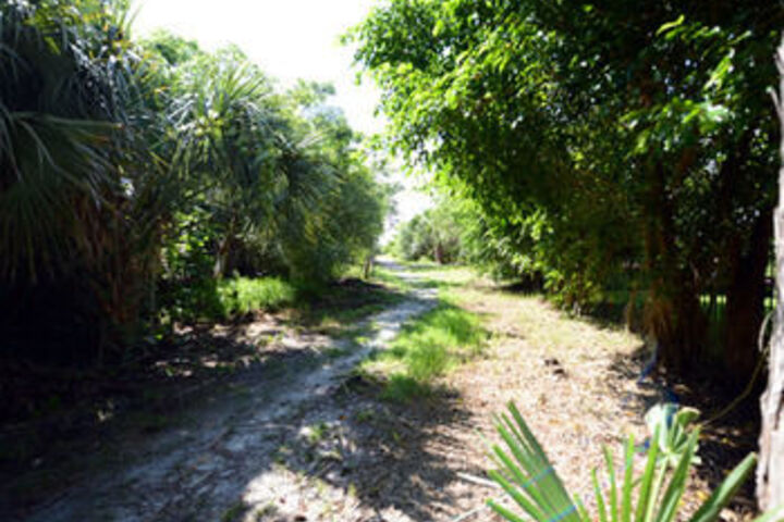 Property Grounds 13 of 14