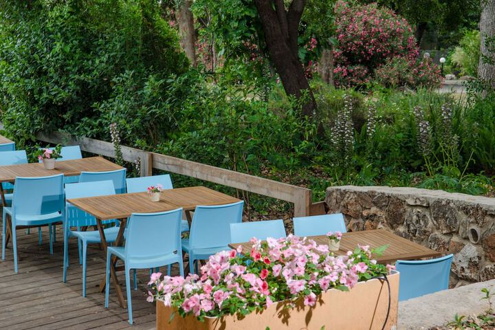 Terrace/Patio 41 of 45