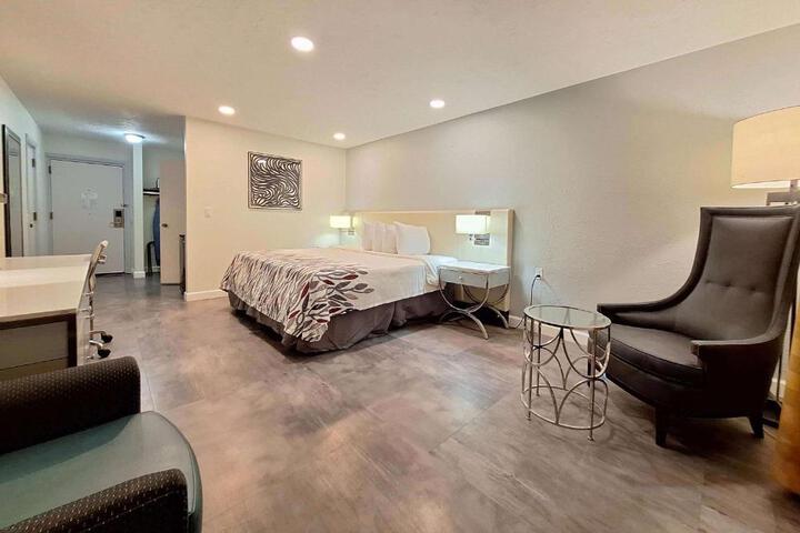 1 King Bed (16 of 19)