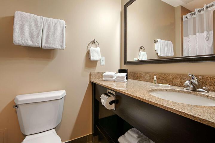 Accessible Suite 2 Queen Accessible Communication Assistance Roll in Shower Sofa Bed Micro (2 of 15)