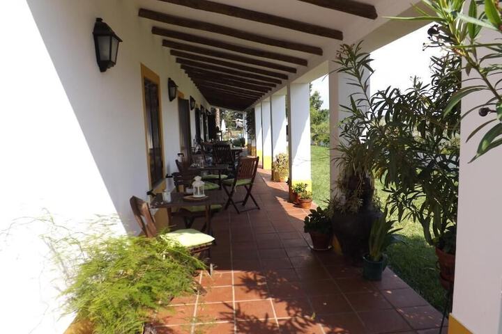 Terrace/Patio 40 of 44