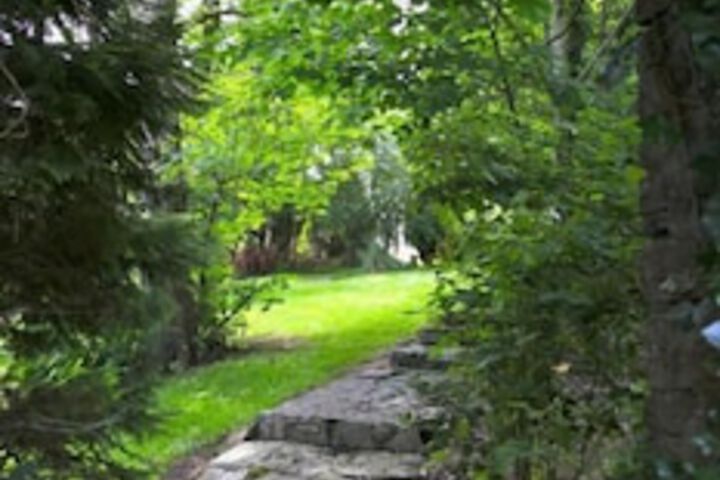 Property Grounds 68 of 81