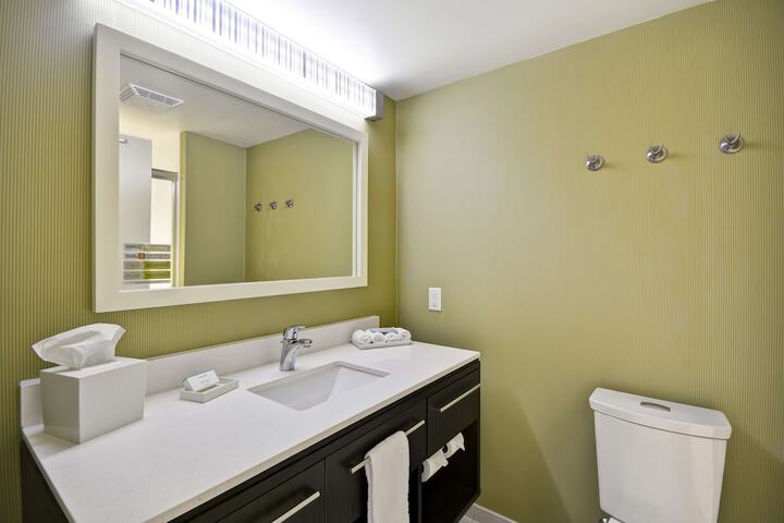 1 King Bed Studio Suite (6 of 14)