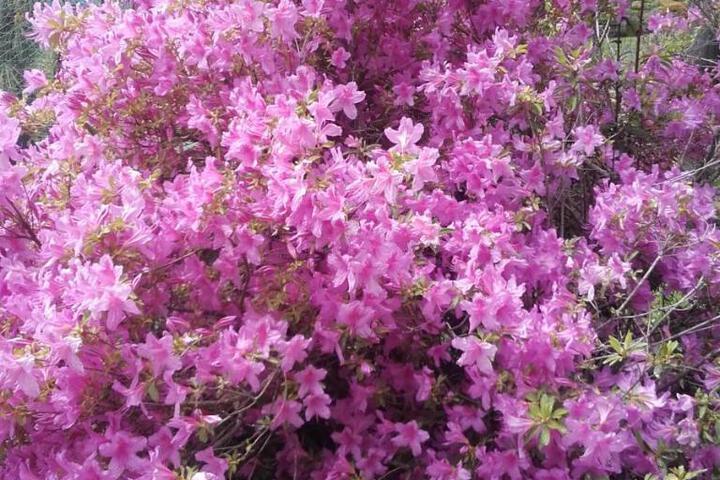 General 13 of 23