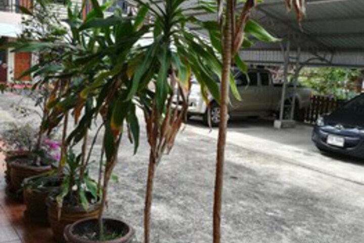 Property Grounds 36 of 46
