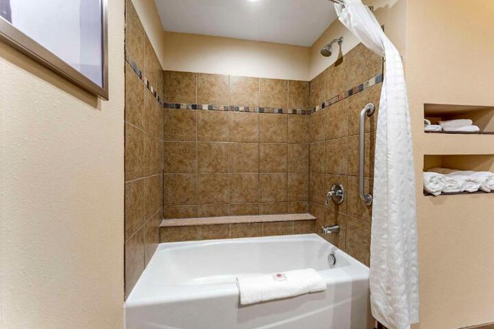 1 King Bed Accessible (21 of 25)